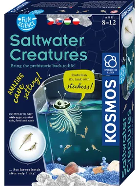 Fun Science Set - Saltwater Creatures