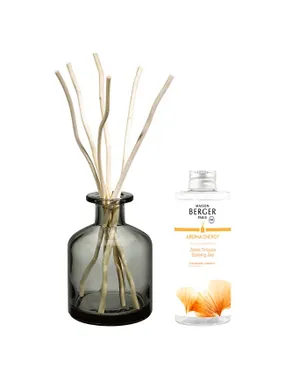 Gift set Aroma Energy diffuser gray + refill Fresh tonic 200 ml