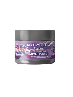 Anti-Yellow Silver Power Professional Mask silver mask for bleached and gray blonde hair 300ml