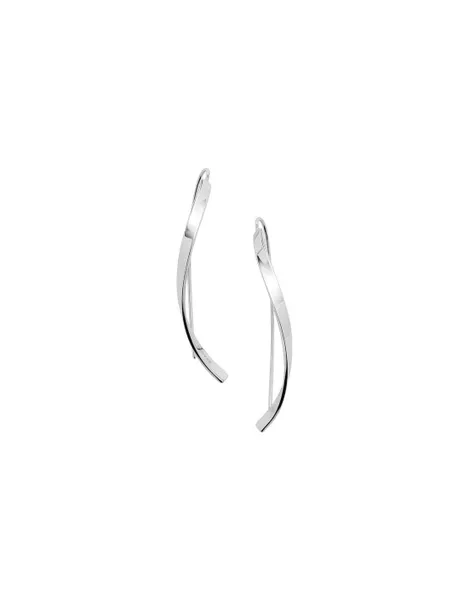 Elegant steel earrings SKJ1199040