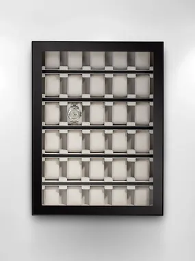 Rothenschild Watch Showcase RS-1100-30BL for 30 Watches Black