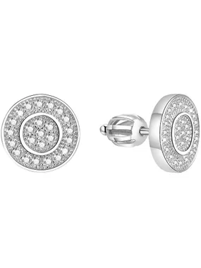 Silver earrings AGUP1568S