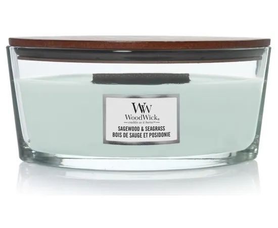 WW ELLIPSE SHEER TUBEROSE