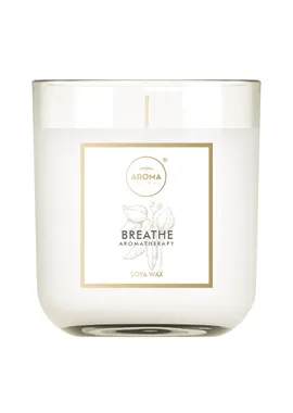 SPA Series Breath soy candle 150g