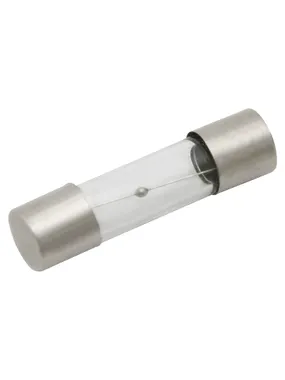 6066# WTA-T fuse 10a/20mm slow-blow