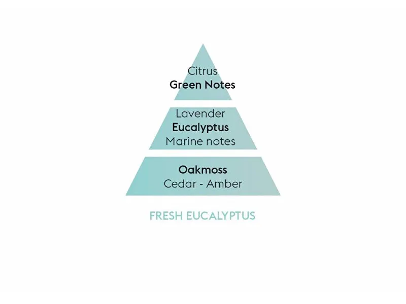 Filling for catalytic lamp Fresh Eucalyptus Fresh Eucalyptus (Lampe Recharge/Refill) 500 ml