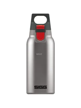Hot & Cold One Brushed 0.3 liter, thermos bottle
