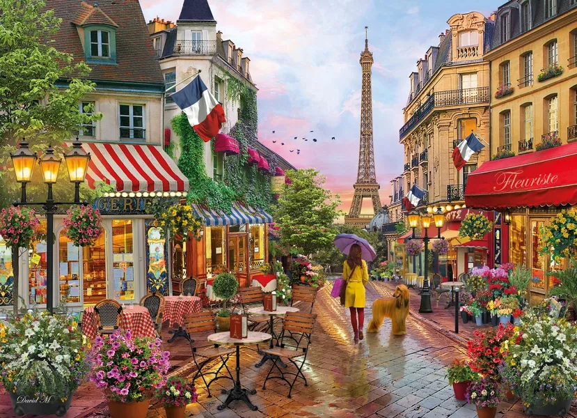 Puzzles 1000 elements High Quality Collection - Flowers in Paris