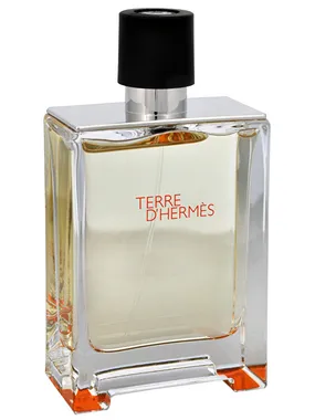 Terre d´Hermes Eau de Toilette Tester, 100ml