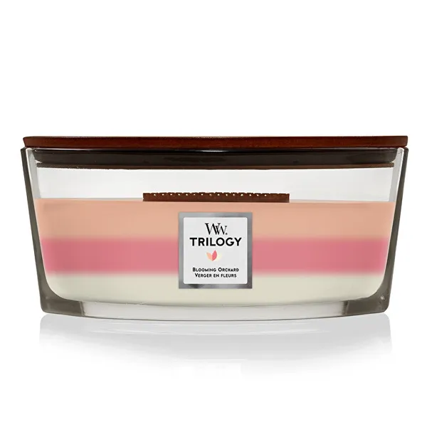 WW TRILOGY LARGE HOURGLASS BLOOMING ORCHARD