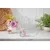 Aroma diffuser Signature Wild Orchid Reed 100 ml