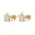 Gold-plated earrings with clear crystals Stars Aurora SAR51