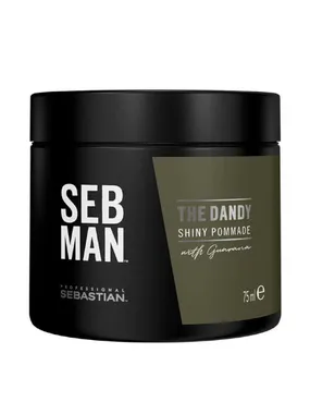 Hair SEB MAN The Dandy (Shiny Pommade) 75 ml