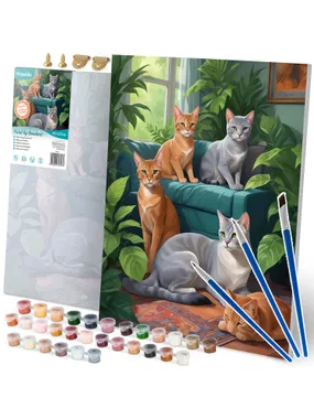 Painting image by numbers 40x50 cm Massido Cats