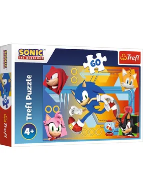 Puzzles 60 elements Sonic in action