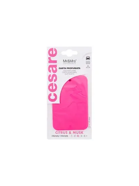 Cesare Scented Card Car Air Freshener , 1pc