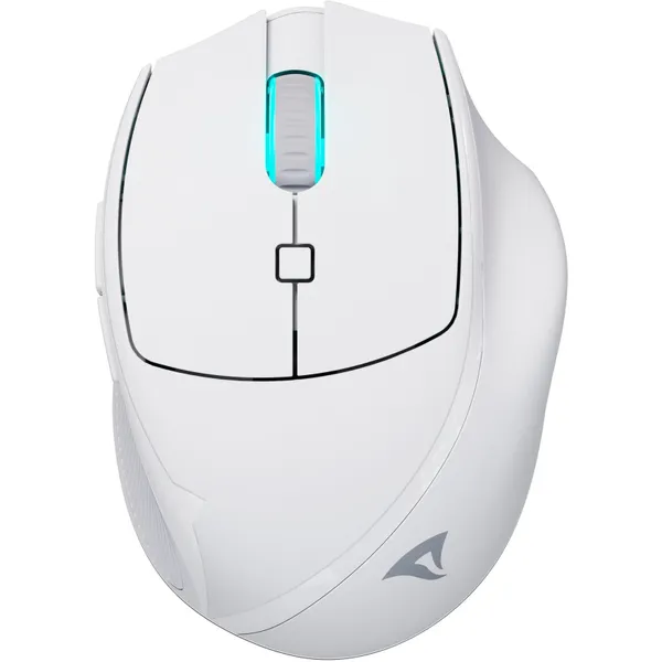 OfficePal M25W, mouse