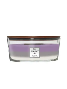 Scented candle ship Trilogy Amethyst Sky 453.6 g