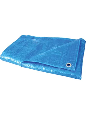 46345 Tarpaulin 65 g/m2, 4x5 m, Mega