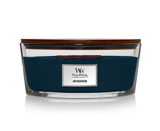 Scented candle ship Antiquarium 453.6 g