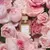 À La Rose - EDP, 35 ml