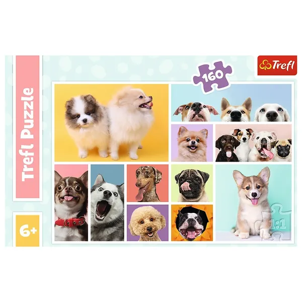 Puzzle 160 elements Dogs friends