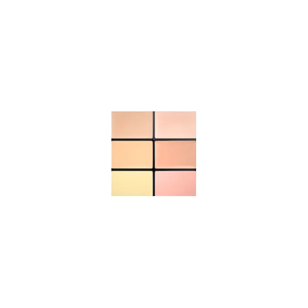 Face (Pro Conceal and Correct Palette) 6 g, 01 Light