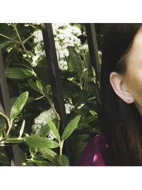 Charming silver earrings Butterflies AGUP757L