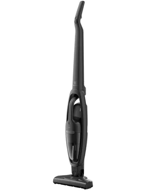 Upright vacuum cleaner Clean 300 ES31CB18GG 45 minutes