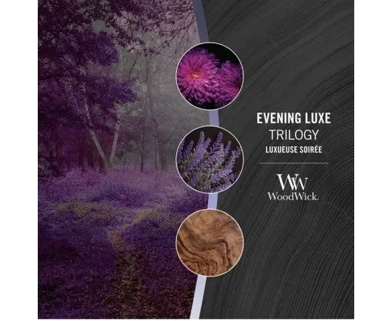 WW TRILOGY ELLIPSE EVENING LUXE