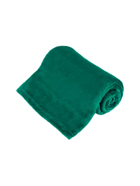 Fleece blanket 150x200 cm TEESA - green