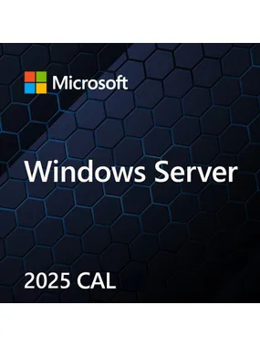 OEM Win CAL 2025 User ENG 5Clt EP2-25279