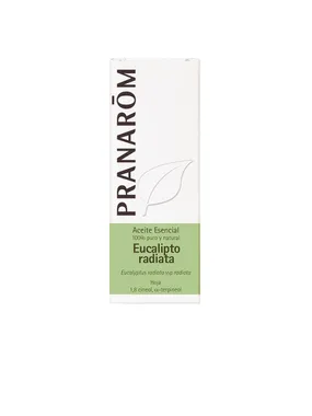ACEITE ESENCIAL #eucalipto radiata 10 ml