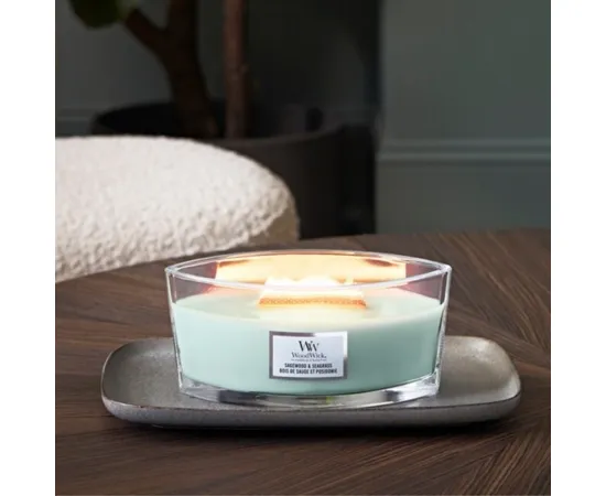 WW ELLIPSE SHEER TUBEROSE