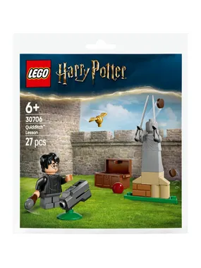 30706 Harry Potter Quidditch Training, design toys