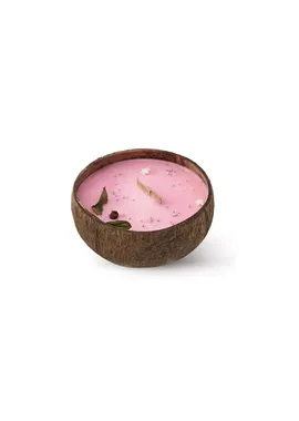 Candle in coconut - Frozen Cranberry scent 500 g