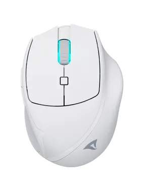 OfficePal M25W, mouse