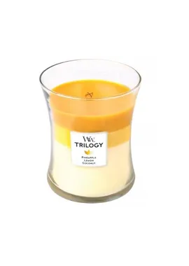 Trilogy Fruits Of Summer Scented Candle 275 g