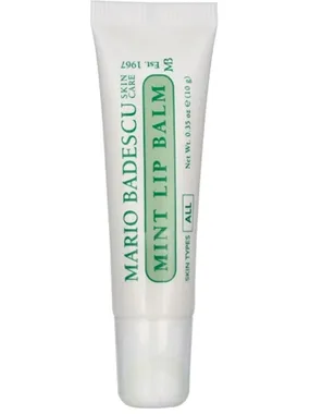 Moisturizing Lip Balm With Mint (Mint Lip Balm) 10 g