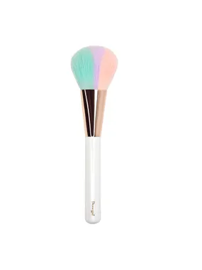 Sorbet brush powder brush