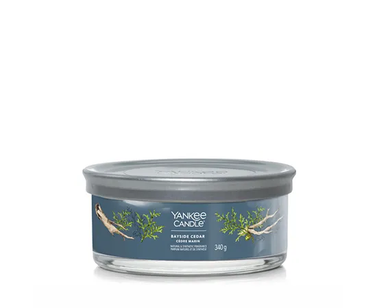 Aromatic candle Signature tumbler medium Bayside Cedar 340 g