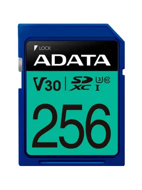 Premier Pro 256GB SDXC, memory card
