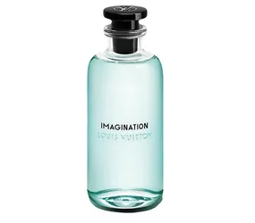 Imagination EDP