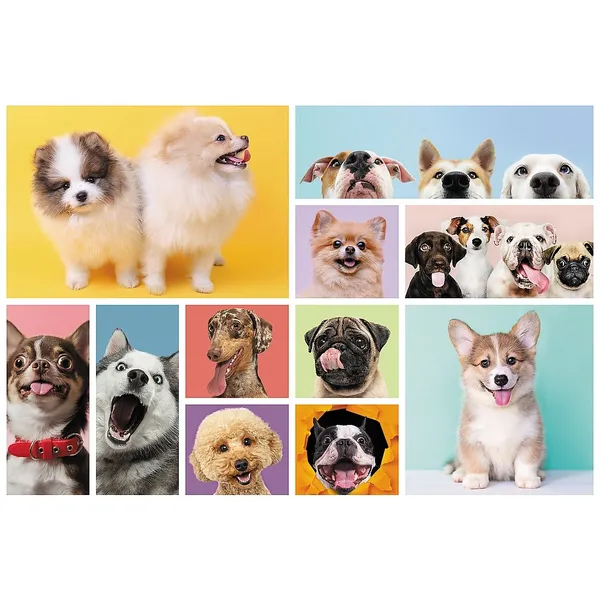 Puzzle 160 elements Dogs friends