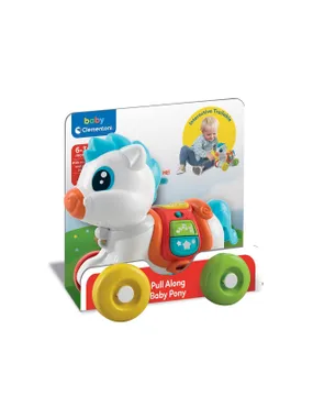Baby Pony Always with you