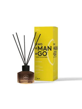 Modern fruits fragrance sticks mango 50ml