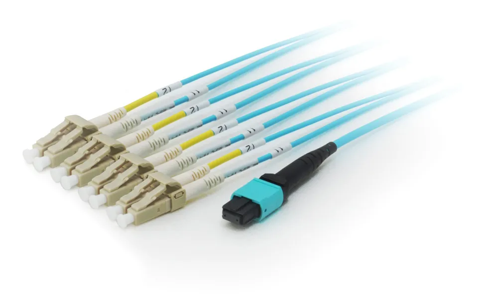 Equip MTP/MTP Trunk Fiber Optic Patch Cable, OM4, 10m