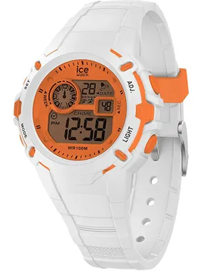 Ice Digit Explorer 024002