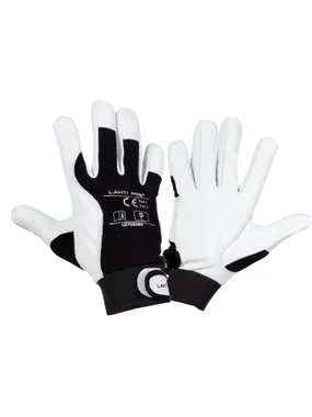 Goatskin gloves. spell. l270809p, card, "9", ce, lahti