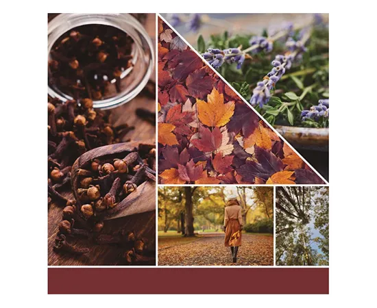 SM Spring Autumn Daydream